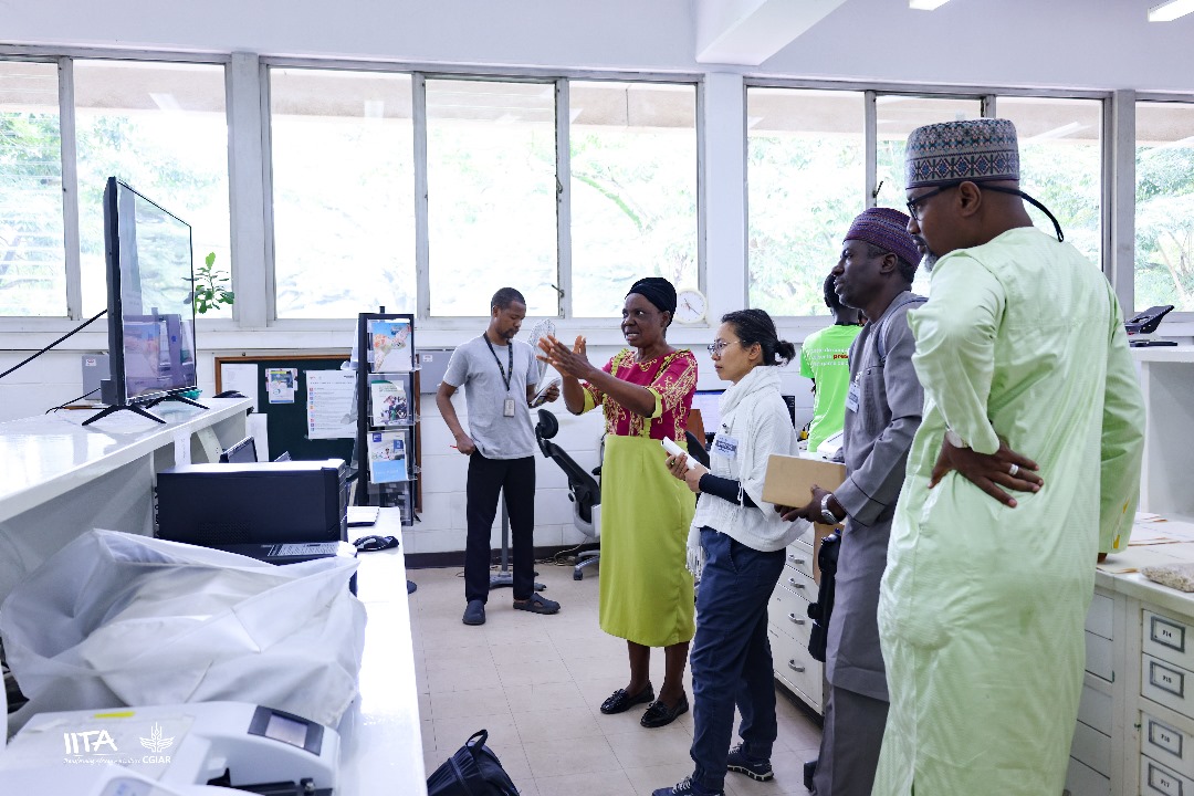 This week, IITA hosted delegates from Groupe Nutriset, NutriK &amp; Sow AgriTech Ltd to strengthen ties in nutrition, Ready-to-Use Therapeutic Foods and agri-value chains.

They explored collaboration on groundnut, soybean, cassava and plantain, alongside IITA’s Seed Tracking Program