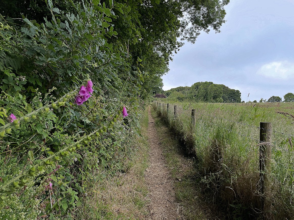 The witch walking is a witch having a conversation with the land. A chart of the paths she takes is telling of genii locorum, places where the ghost soil speaks loudest. Her feet scuff up stories, her feet scuff up spirits. Each navigation is sorcery. – #EmilyCBanting, 1982