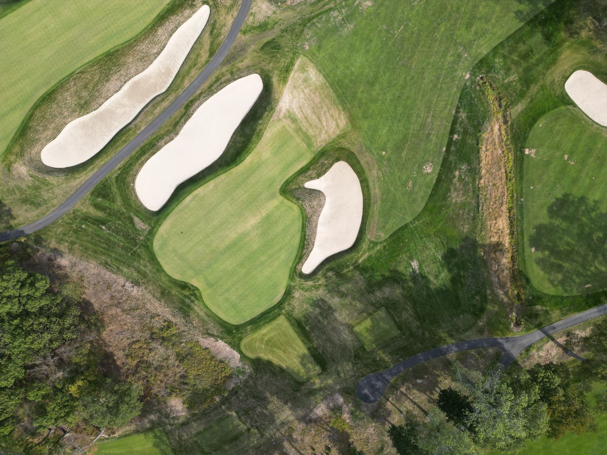 Anthony Pioppi tweet media