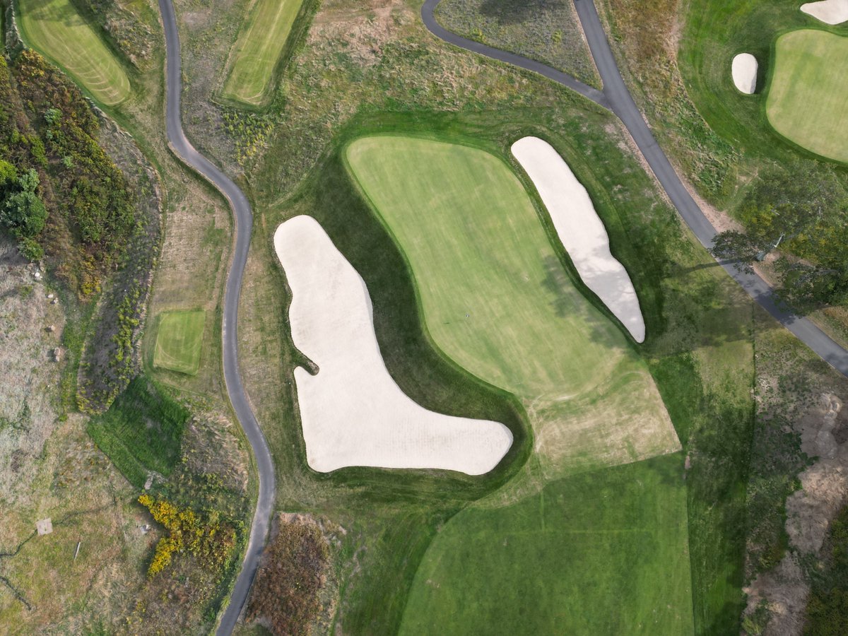 Anthony Pioppi tweet media