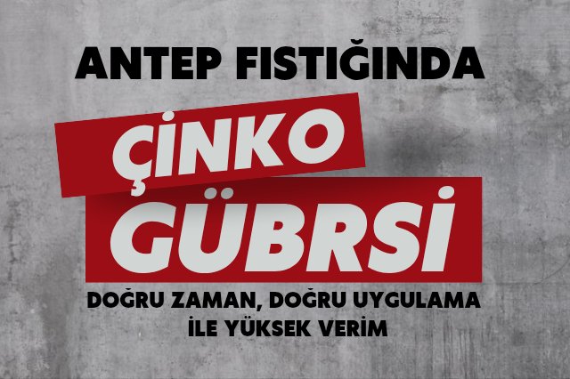 Çinko gübresi neden önemli ?
hakielik.com/antep-fistigin…