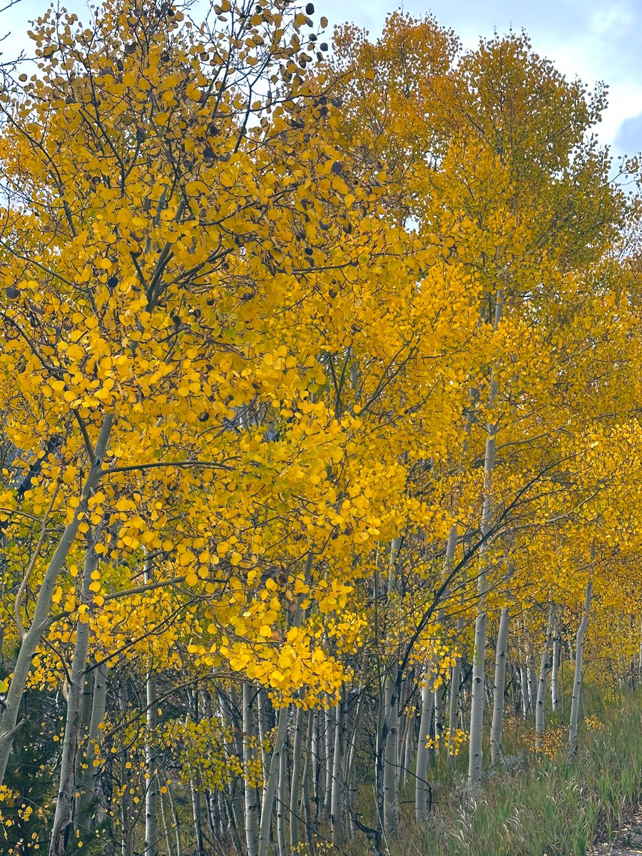 Enjoying our one week of fall weather in the high country