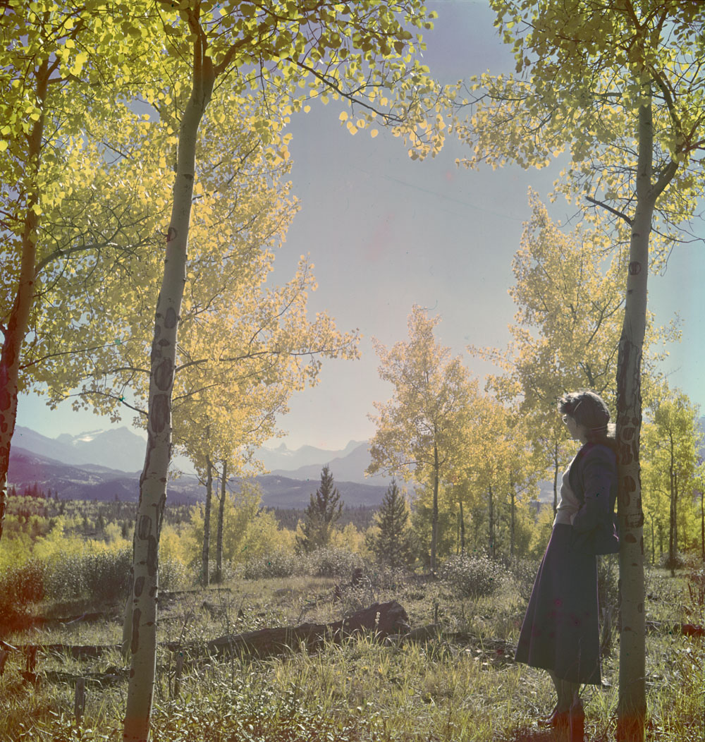 LibraryArchives's tweet image. While we bask in the scent of nutmeg, and before we worry about shovelling walkways, we can all take in the splendour of the fall colours found in our collections!

📷 2962413, 4292835, 2838526, 2897315