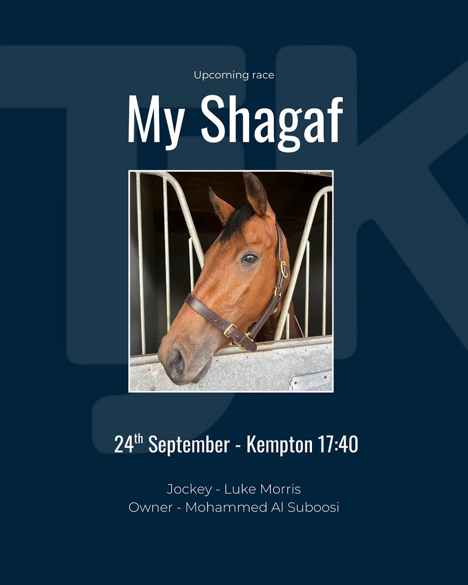 TJKentRacing tweet media