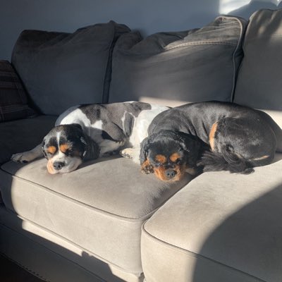 #NewProfilePic