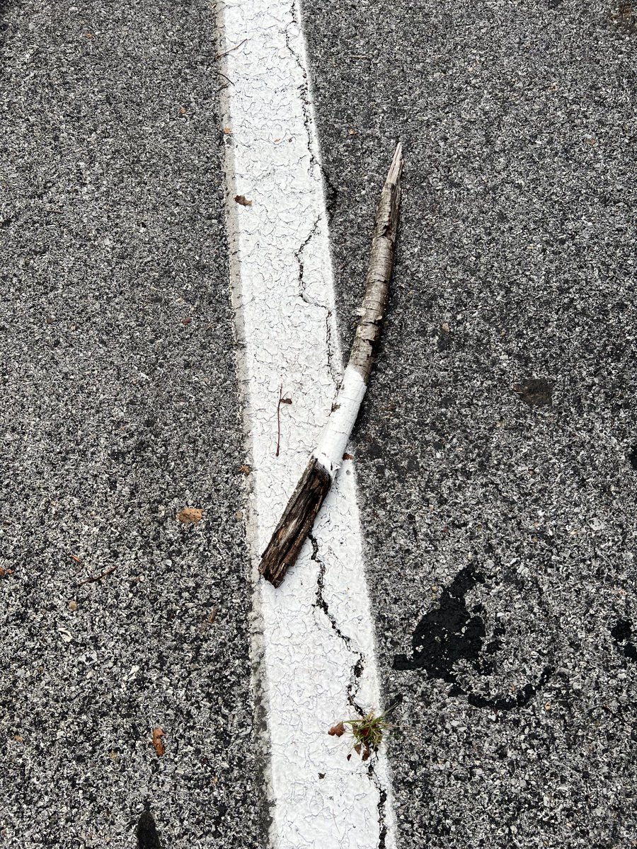 Either Buffy the Vampire Slayer dropped her stake, or the road painters here have some “incredible” skills.