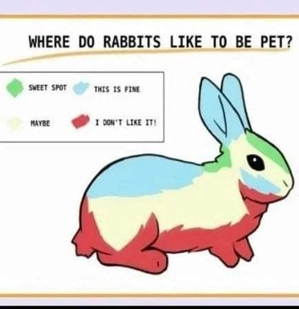 ꒰ meow .ᐟ.ᐟ tweet media