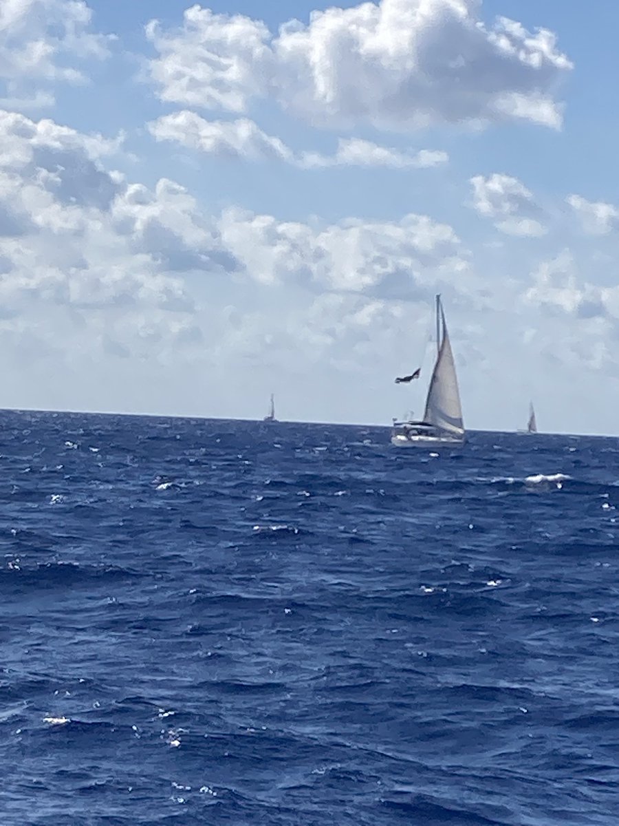 Akdeniz güzel….
Gazze gemileri ile daha güzel…
Gemiler Gazze’ye ulaşınca daha daha güzel…