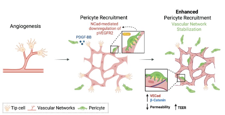 Gerecht Lab tweet media