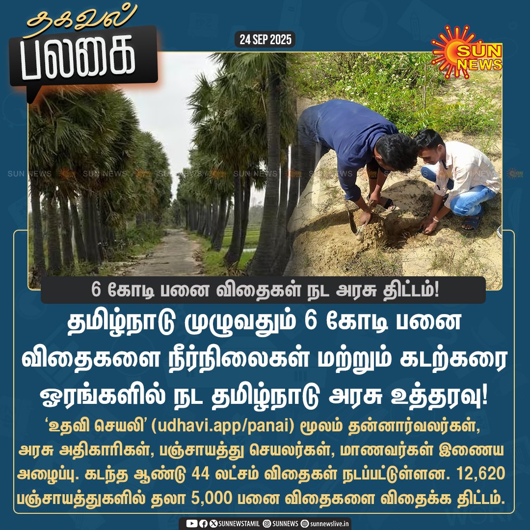 RohiniR89378047's tweet photo. | 6 கோடி பனை விதைகள் நட தமிழ்நாடு அரசு திட்டம்!

##TNGovt | #Panai https://t.co/KcAIcsAFvo