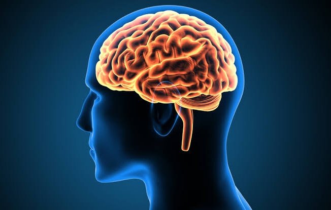 🚨 Indian scientists have developed a new nanomaterial that can boost brain cell growth and communication, offering hope for safer treatments for Parkinson’s and other brain disorders. 🇮🇳