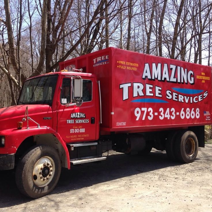 amazingtreesnj's tweet image. Tree Company in NJ

Amazing Tree Service is your reliable tree company in NJ for expert removal, trimming, and stump grinding to keep your property safe and attractive. Learn more: atreeservicenj.com/about.html

#treecompanynj #treeservice #treeremoval #treepruning #stumpgrinding