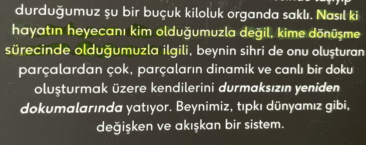 Zeynep TUNA (@tunazeyn_ab) on Twitter photo 