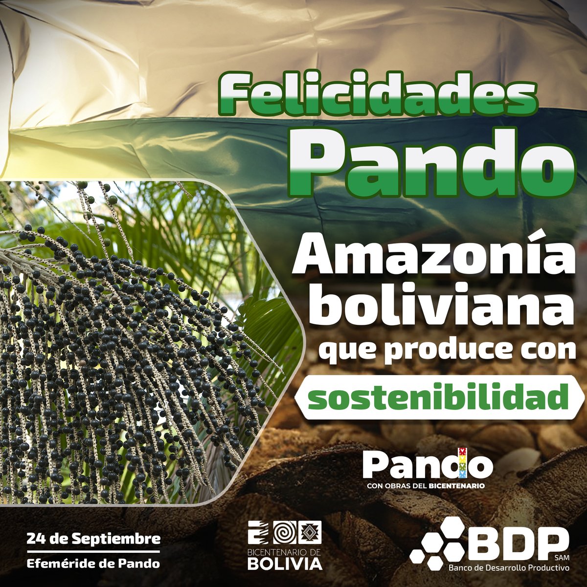 #SomosBDPsam | ¡Felicidades Pando! Corazón de la Amazonía boliviana que late con sostenibilidad y produce riqueza.

Un futuro verde nos une