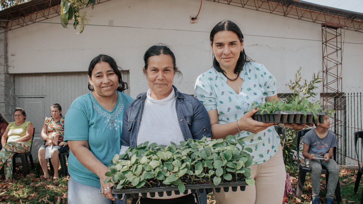 Revista Códigos tweet media