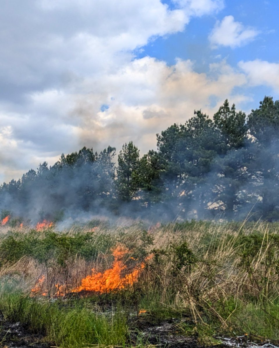 Eastern Shore Land Conservancy tweet media