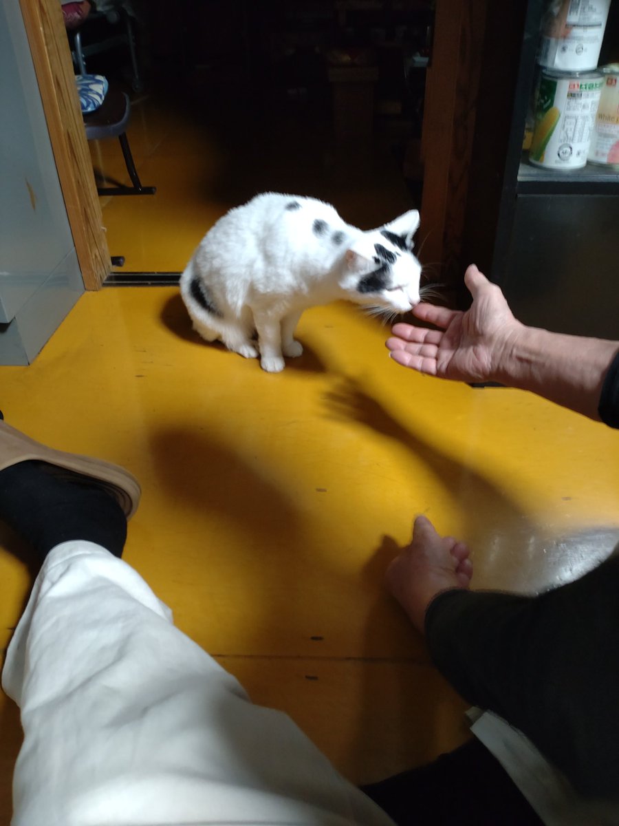 じぃじとお話したよ😸