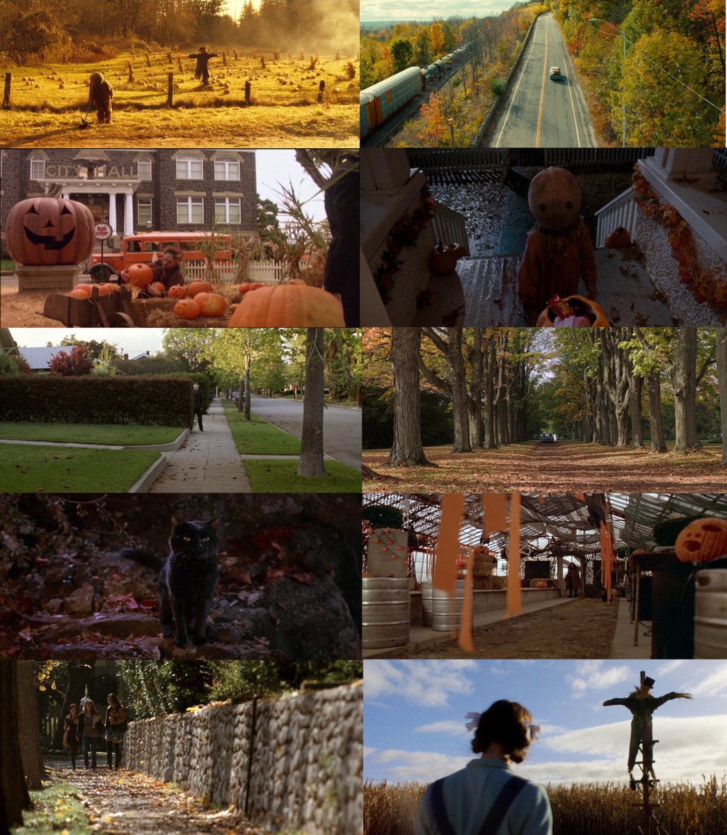 fall in film 🍁
