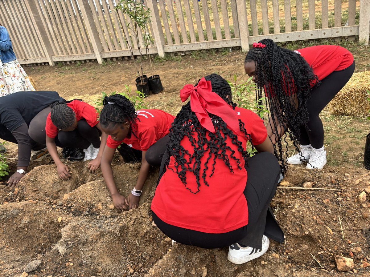 Save the Children SA (@savechildrensa) on Twitter photo Celebrating #HeritageDay with a greener future! We joined <a href="/AfricanClimate/">African Climate Policy Centre (ACPC)</a> to launch the Ithuba Unity Forest at Bona Comprehensive School, promoting climate action & resilience. This is a living act of a green legacy for future generations. #HeritageDay #JohannesburgClimateWeek Celebrating #HeritageDay with a greener future! We joined <a href="/AfricanClimate/">African Climate Policy Centre (ACPC)</a> to launch the Ithuba Unity Forest at Bona Comprehensive School, promoting climate action & resilience. This is a living act of a green legacy for future generations. #HeritageDay #JohannesburgClimateWeek