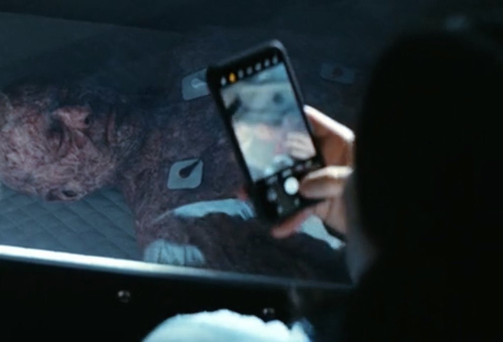 ok what are out theories about who this is (poll in the replies)