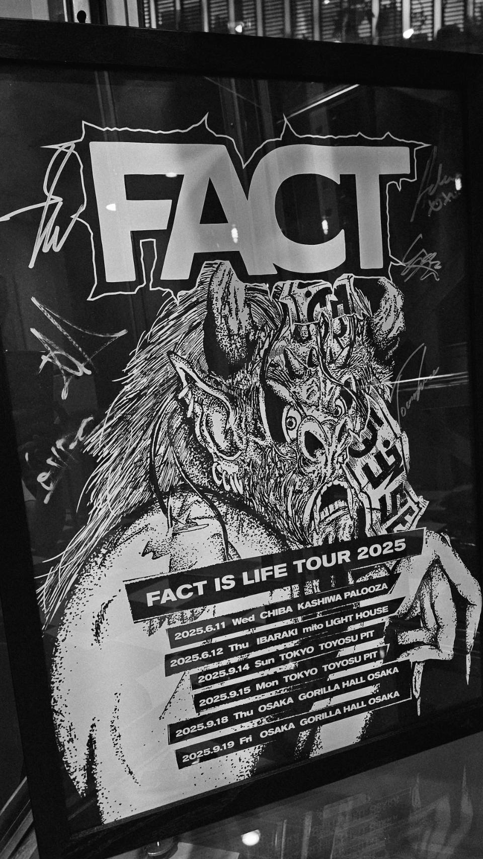 【超希少】FACT a fact of life販促ポスター MAGICROOM STORE on X: 