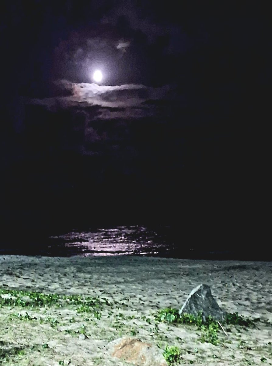 MWagnerSP's tweet image. A Laguna de Itanhaém  (nova versão) reality-to-who.blogspot.com/2025/09/a-lagu… #Poesia #Fluxos de #Desejo