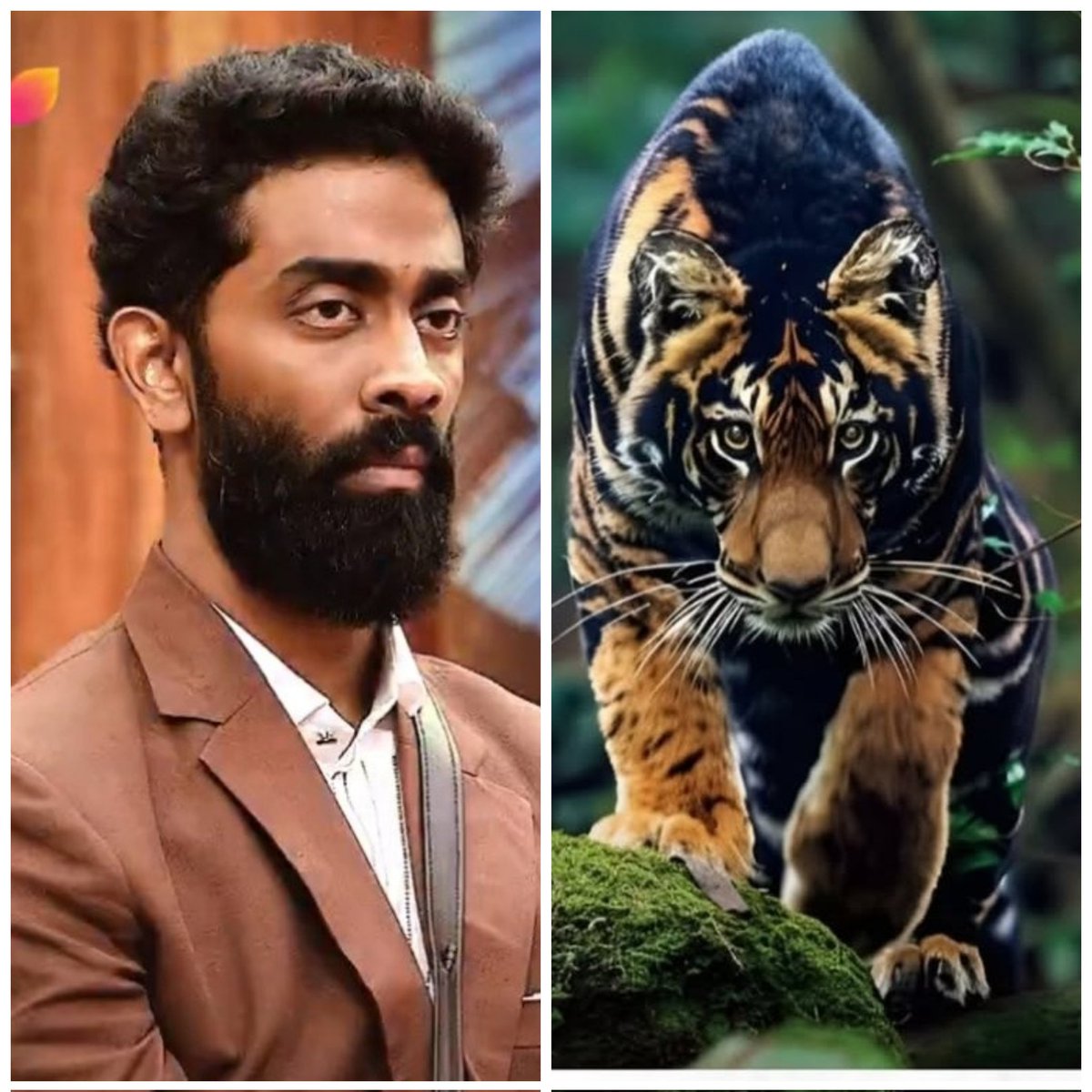 Chugli gang call him zazu

But pranit bhai know who's he
#PranitMore #biggboss19
#PranitMorekipaltan
Sher hai tu sher 🔥🔥🔥