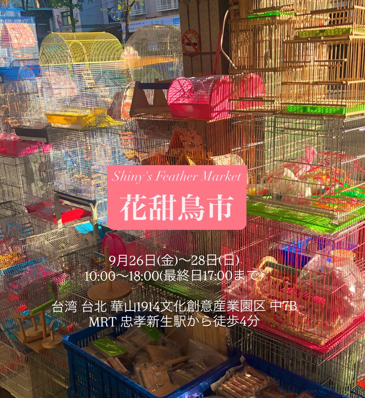 PET-BOX(小鳥と雑貨屋) on X: 