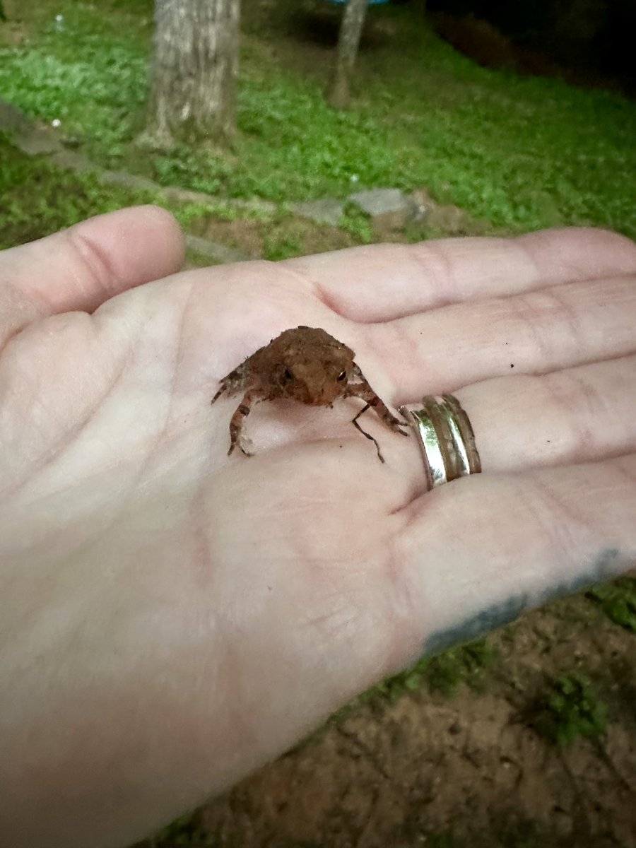 When you and your granddaughter have matching hobbies. Bring on the wildlife. We got you.. #countrylife #frogs #toads #bugs #lizards #NCgirls #catchAndRelease #feralLife #raisethemwild #wildlife #AdventureReady #AdventureAwaits #bringonthedirt #samesouldifferentage #letsplay