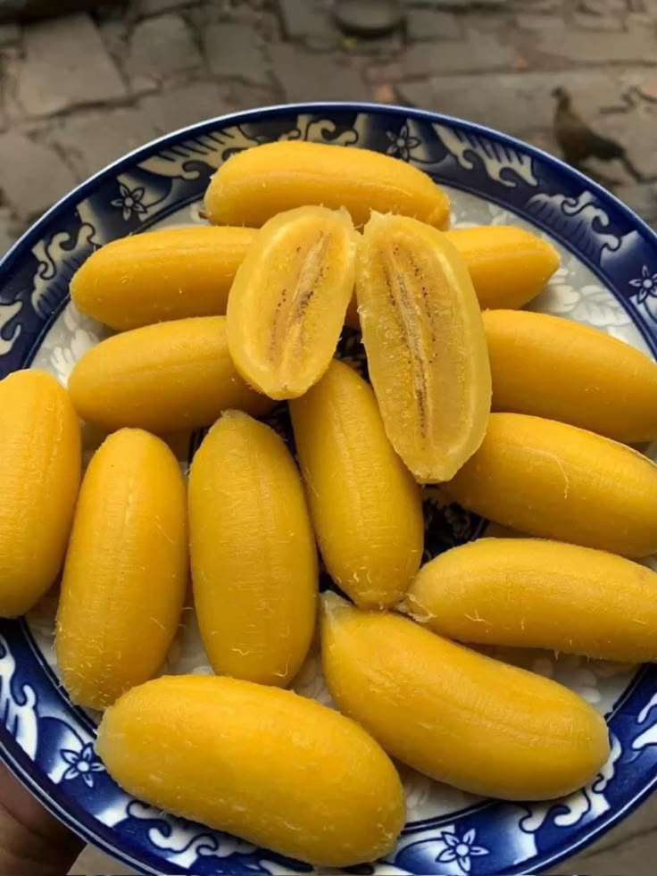 Buhay probinsya❤️