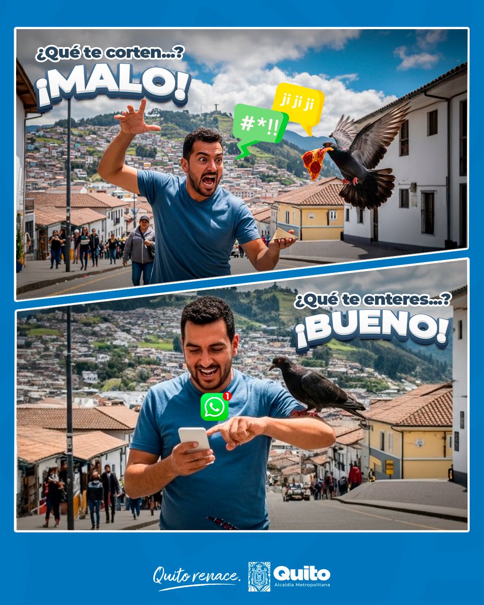 📲 #MásCercaDeTi | Que te corten el agua es malo, pero te puedes enterar de forma más rápida en tu WhatsApp. Ingresa aquí 👉🏻 bit.ly/aguaquito

También síguenos en nuestras redes sociales:
👉🏻 Facebook: @aguainfouio
👉🏻 X (antes Twitter): @aguainfouio

#QuitoRenace