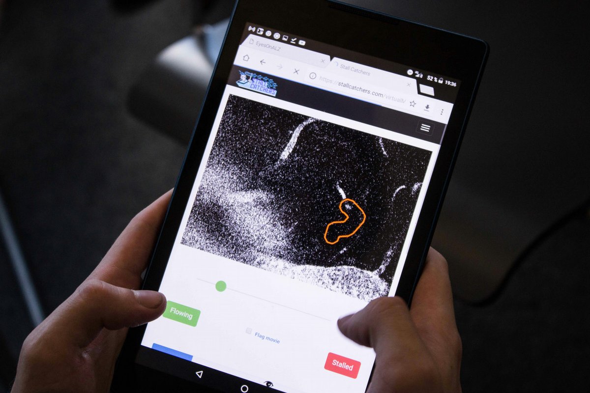SciStarter (@scistarter) on Twitter photo 🧠✨ SciStarter LIVE: Alzheimer’s Month Catchathon ✨🧠
📅 When: September 30, 2025 | 2:00–3:00 PM EDT
🌍 Where: Anywhere on the planet (online!)
🎥 Presented by: SciStarter & <a href="/hcinst/">HC Institute</a>
Let’s close out Alzheimer’s Awareness Month together! Join us for a LIVE Catchathon on Zoom 🧠✨ SciStarter LIVE: Alzheimer’s Month Catchathon ✨🧠
📅 When: September 30, 2025 | 2:00–3:00 PM EDT
🌍 Where: Anywhere on the planet (online!)
🎥 Presented by: SciStarter & <a href="/hcinst/">HC Institute</a>
Let’s close out Alzheimer’s Awareness Month together! Join us for a LIVE Catchathon on Zoom