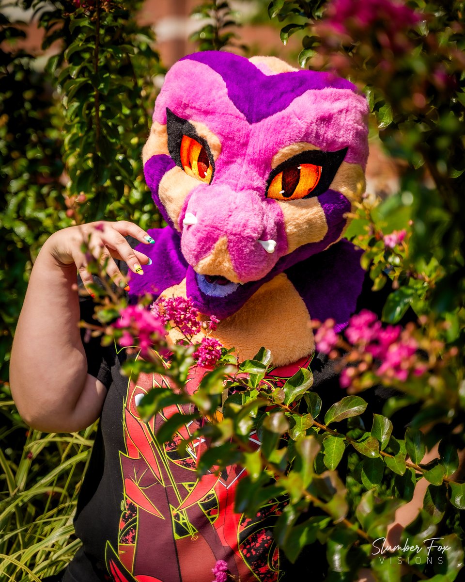 A special Happy Birthday shoutout to my partner 💜✨ He’s been such an incredible support behind the scenes here at Slumber Fox Visions, and I’m so grateful for all he does. Happy Birthday, Sweetheart 📸💕