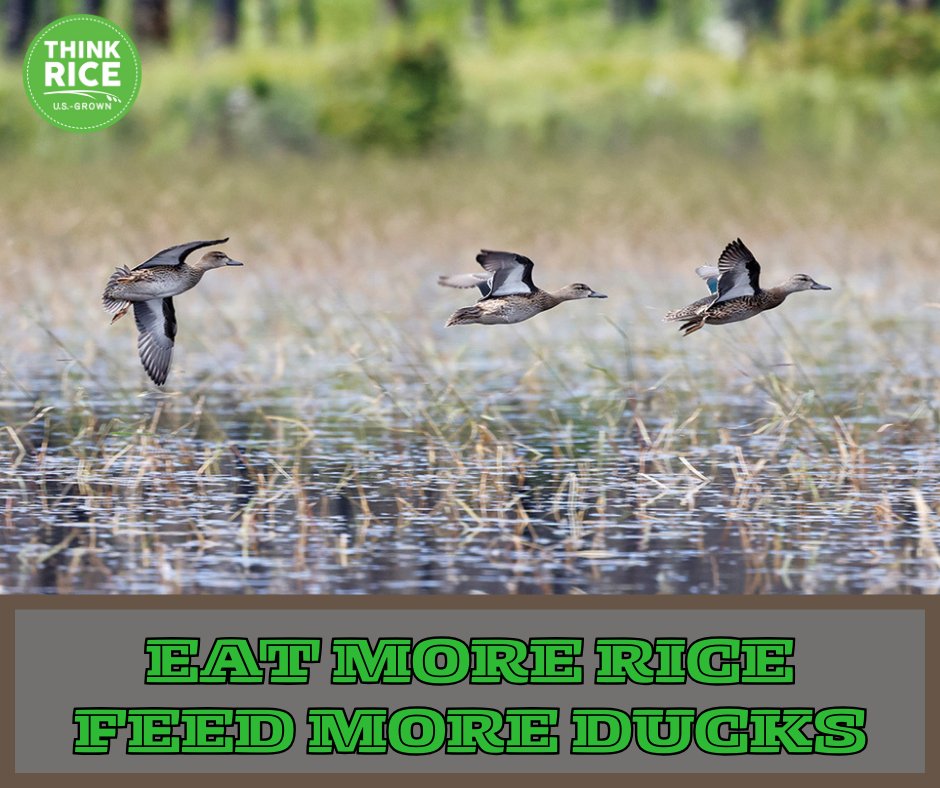 USA Rice tweet media