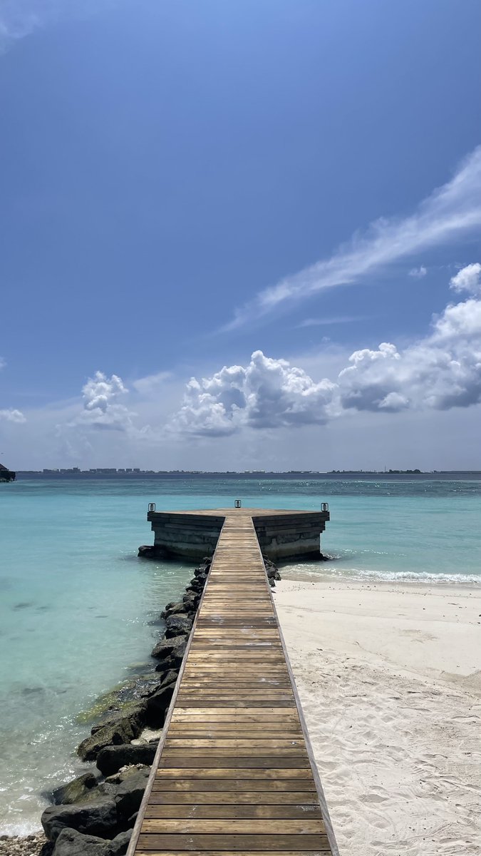 Hamvdv's tweet image. 🏝️🤍