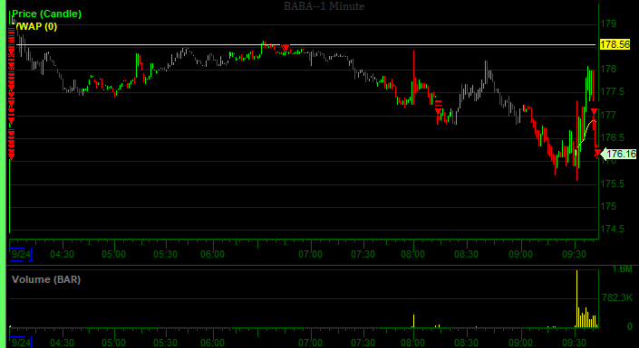THE SHORT BEAR tweet media