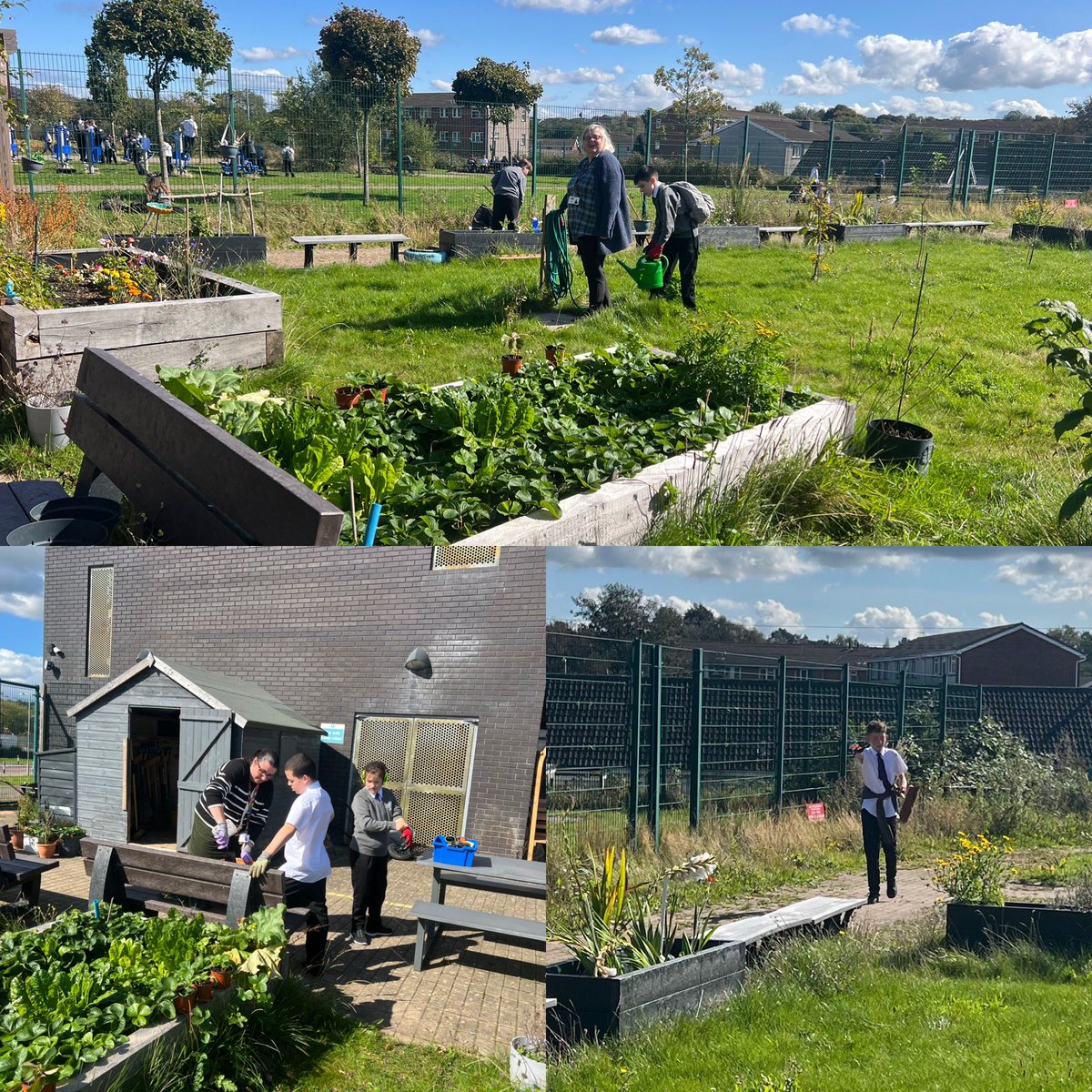 Start of Gardening Club today. Lots of hard work well done to learners, Mrs Hudd and Mrs Grant.
Garden Club on Wednesday lunchtime  and Thursday after school. 🤩👏🏻👏🏻