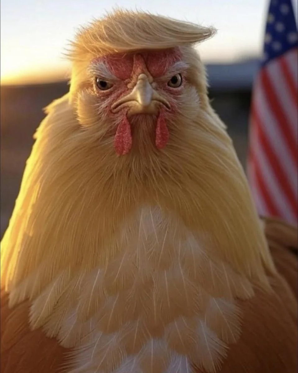 各位，好久不见