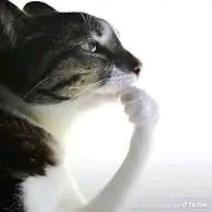 fakin redes sociales hmno nos tienen pensando q 10 likes no es mucho, pero imaginate vinieran 10 lokitos en persona a decirte que les caes d pana