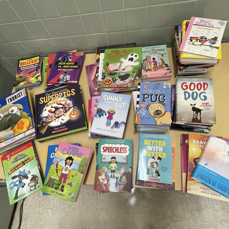Thank you to the Villa Grove PTO for their generous donation of Scholastic Book Fair Dollars to the school library. More than 90 new books have been added for our students to enjoy!