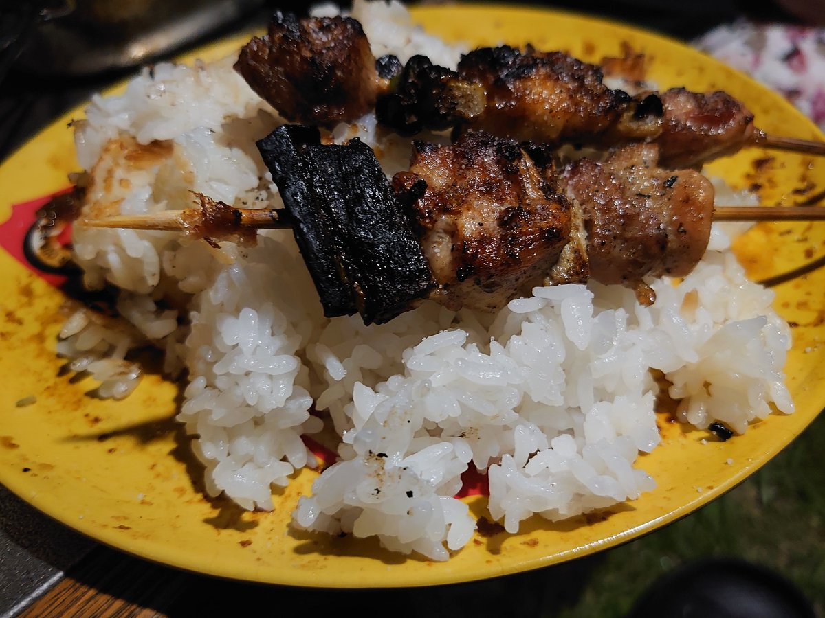アルコール摂取して沈没してた
焼鳥食ってフィニッシュでした。
疲労度が結構なのでたまには早めにおやすみなさい～