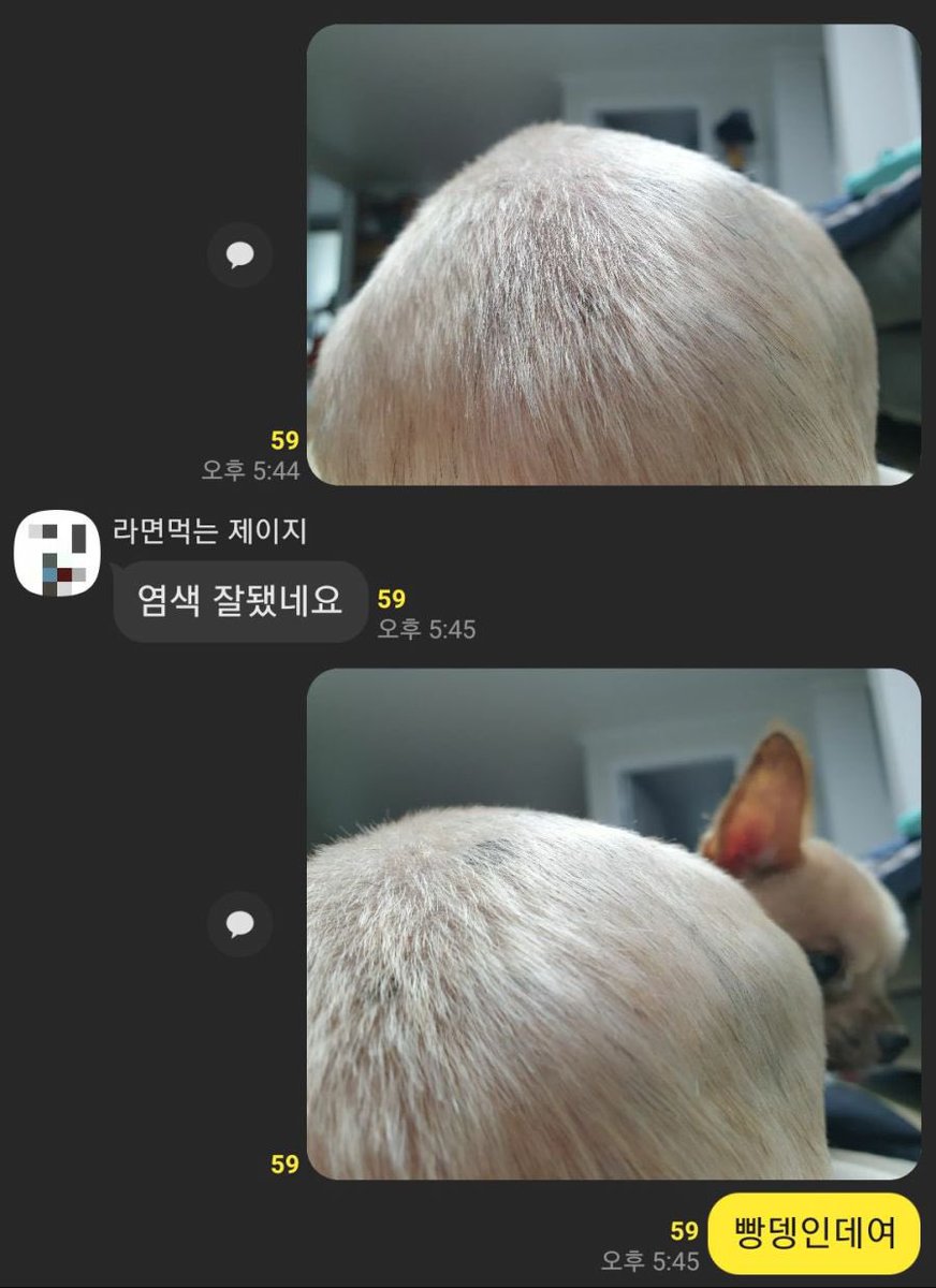 정말 엉뚱한 사람이야