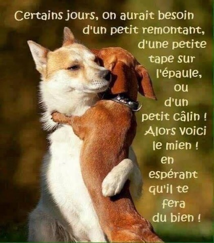 KristelBERINGER's tweet image. A LIRE !!
#Affection