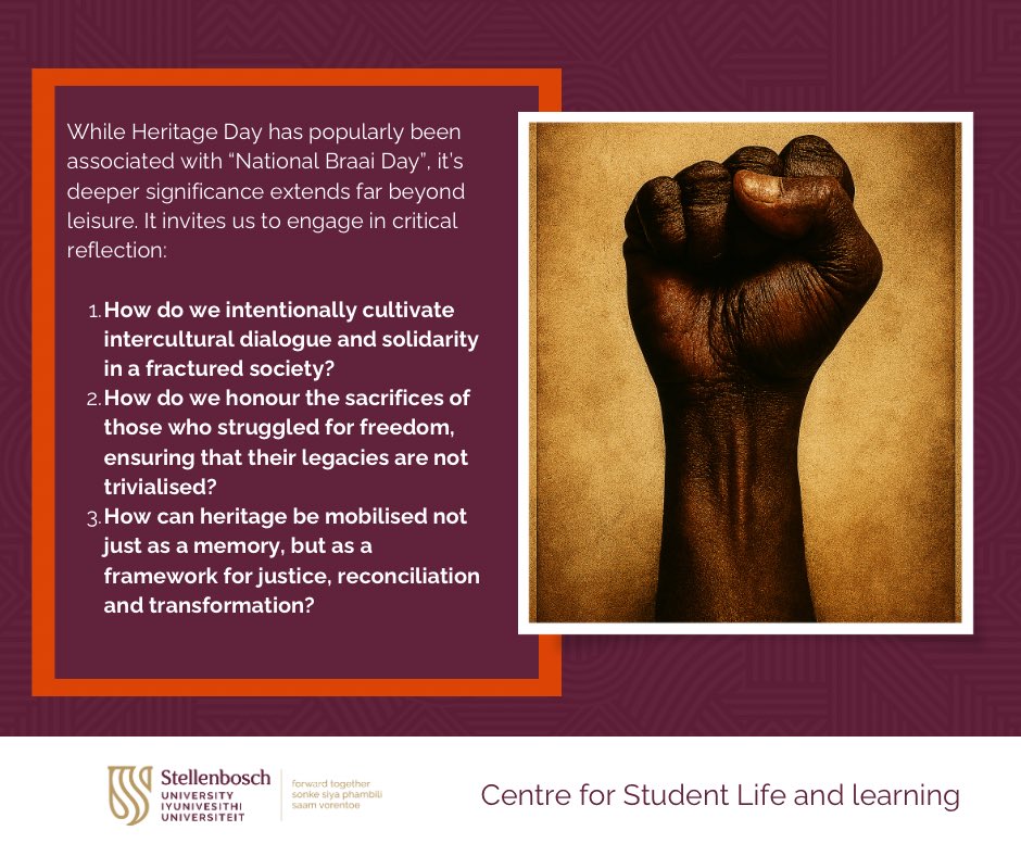 FVZS Institute tweet media