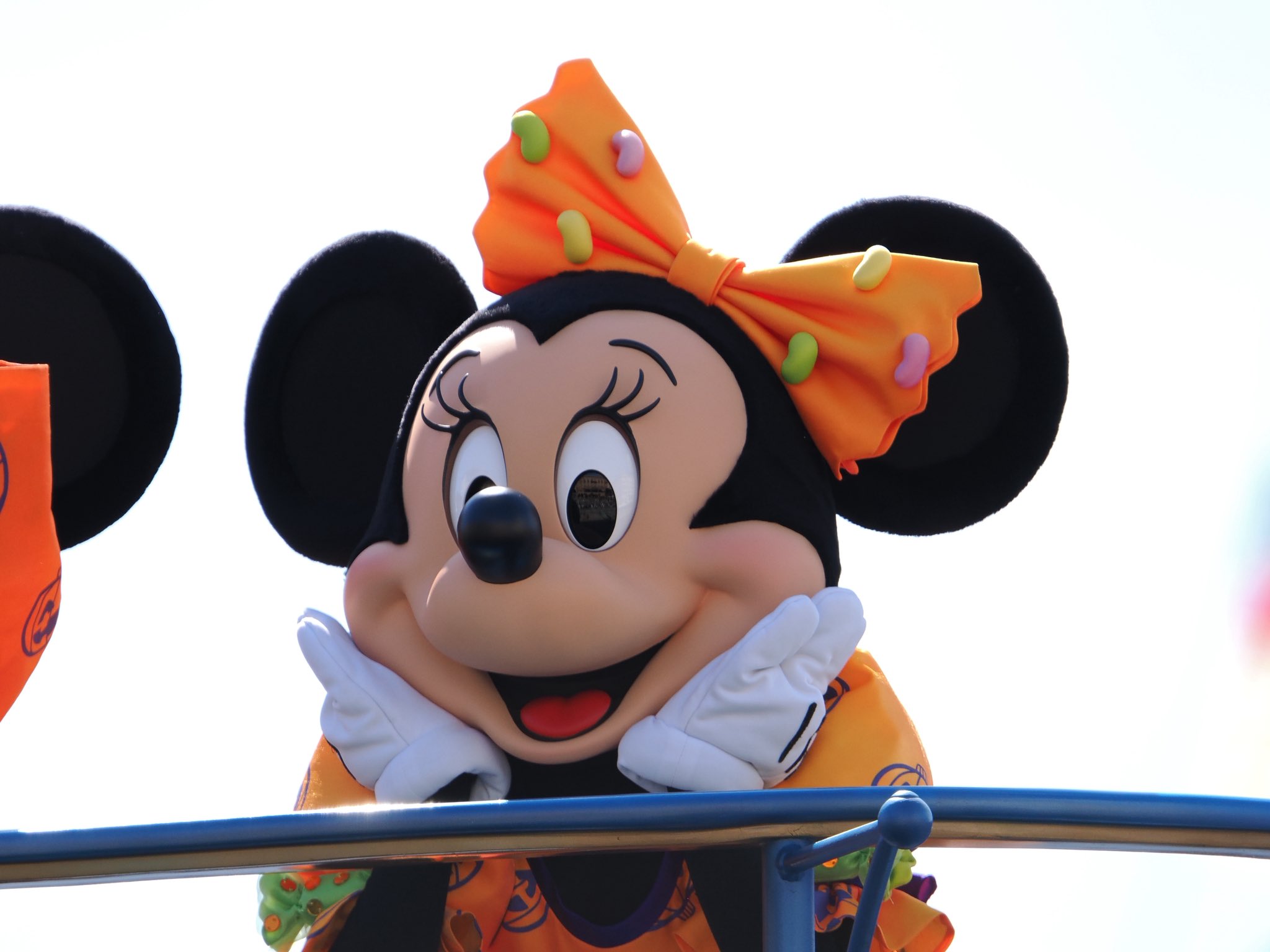 ♡ミニーちゃん くまちゃんおすそ分けファイル、オーダー3点♡ ♡ミニーちゃん くまちゃんおすそ分けファイル、オーダー3点
