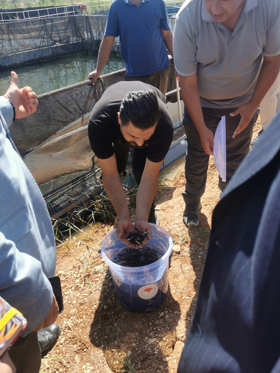 Proje kapsamında İl Müdürümüz Mehmet Salih SÖĞÜT koordinesinde, İl Müdürlüğümüze bağlı Atatürk Barajı Su Ürünleri Üretim İstasyonu’nda incelemelerde bulunuldu.