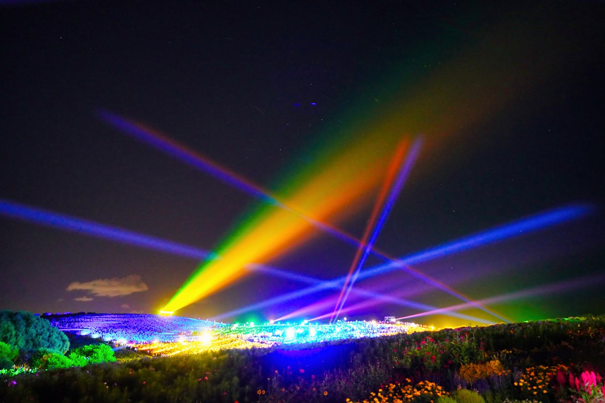 きらっち@写真 tweet media