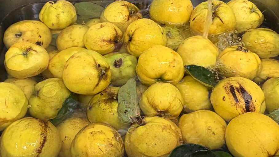 Howbery Business Prk tweet media