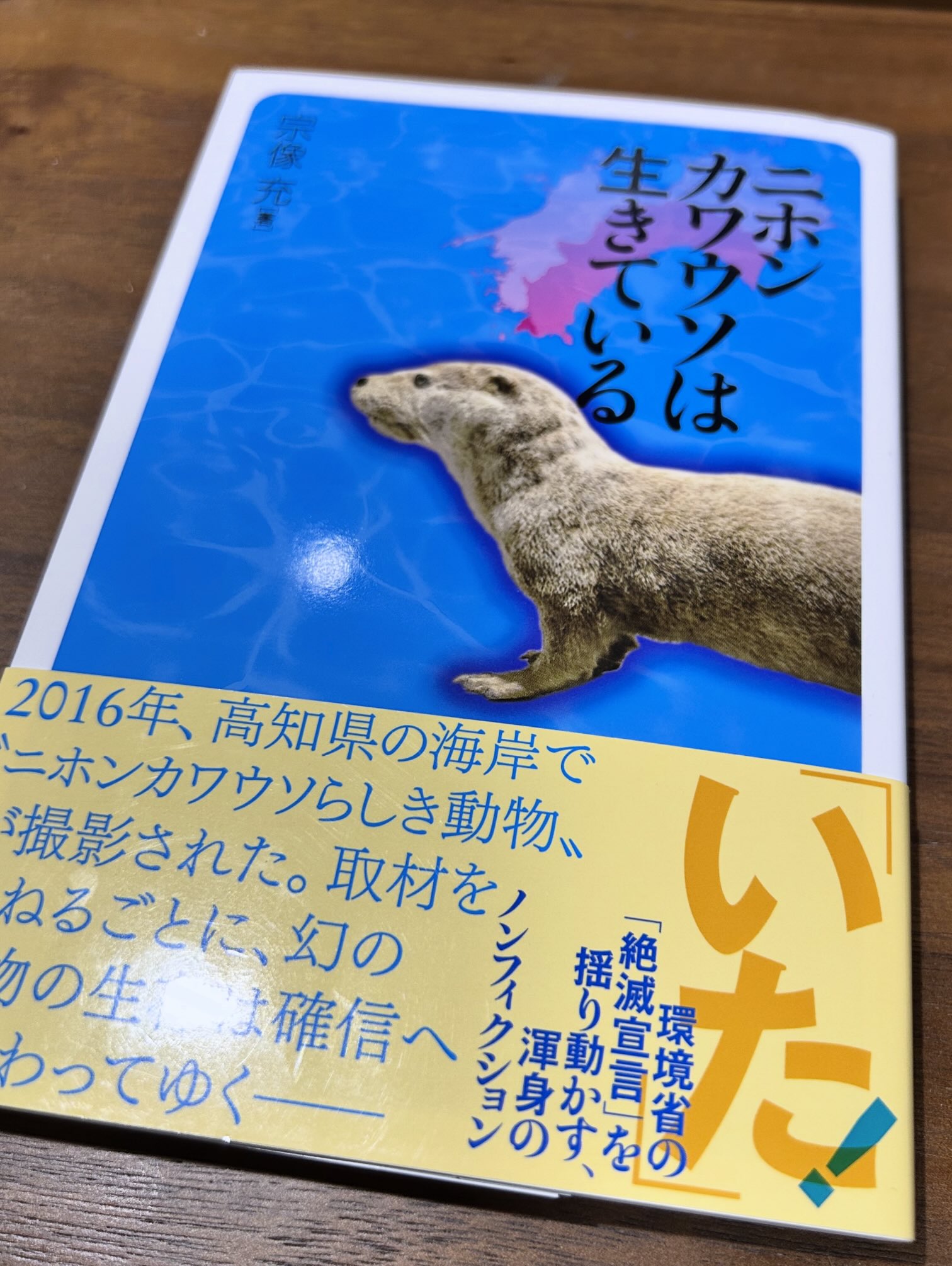 獣医教科書 バラ売り可 1冊 1000円 まとめ買いでお得 獣医教科書 バラ
