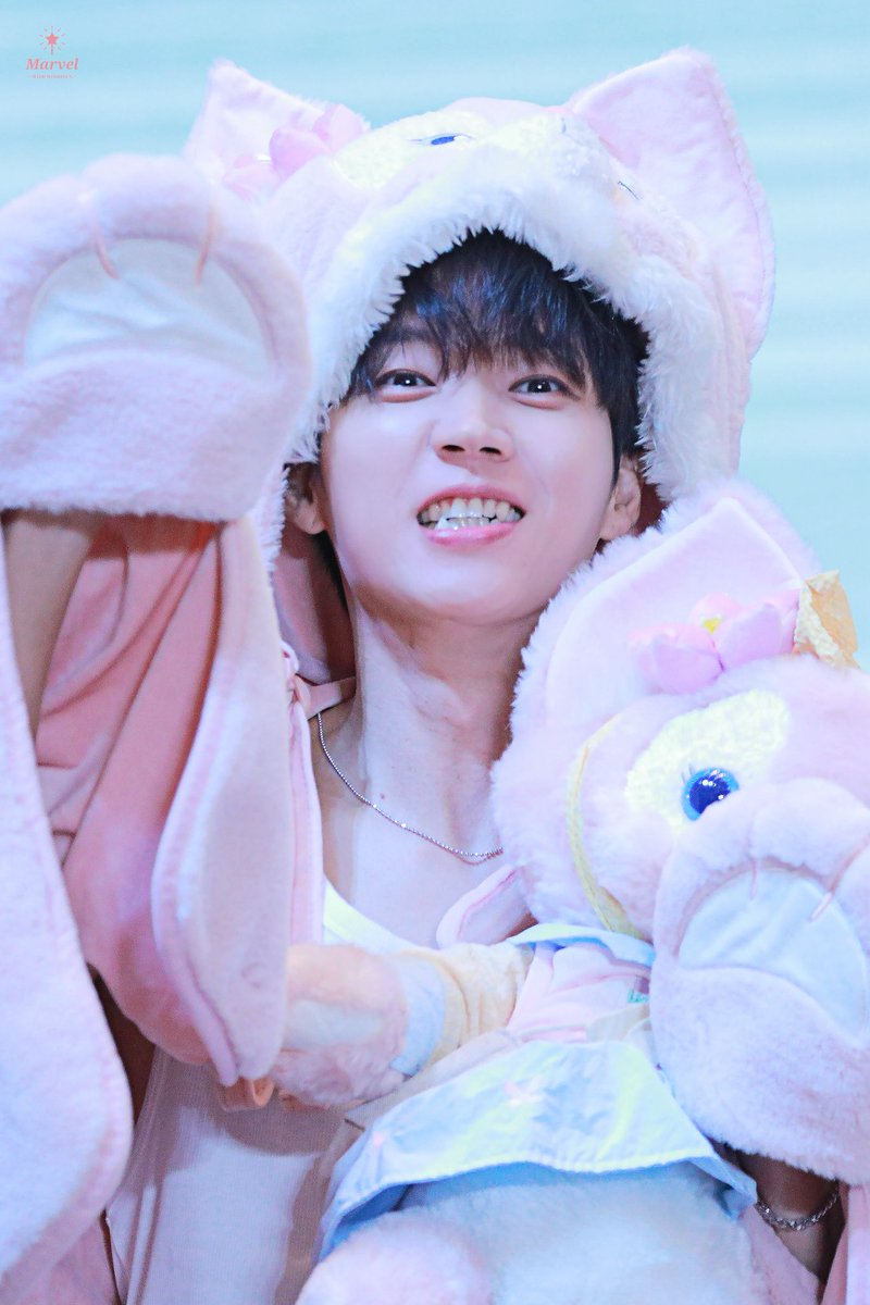 ㅠㅠㅠ지가 늑대인 줄 아는 아기가나디 그잡채